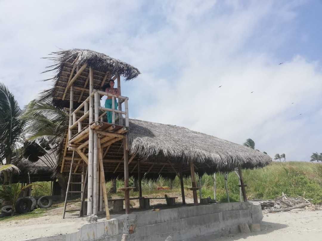 Hotel Punta Azul主图