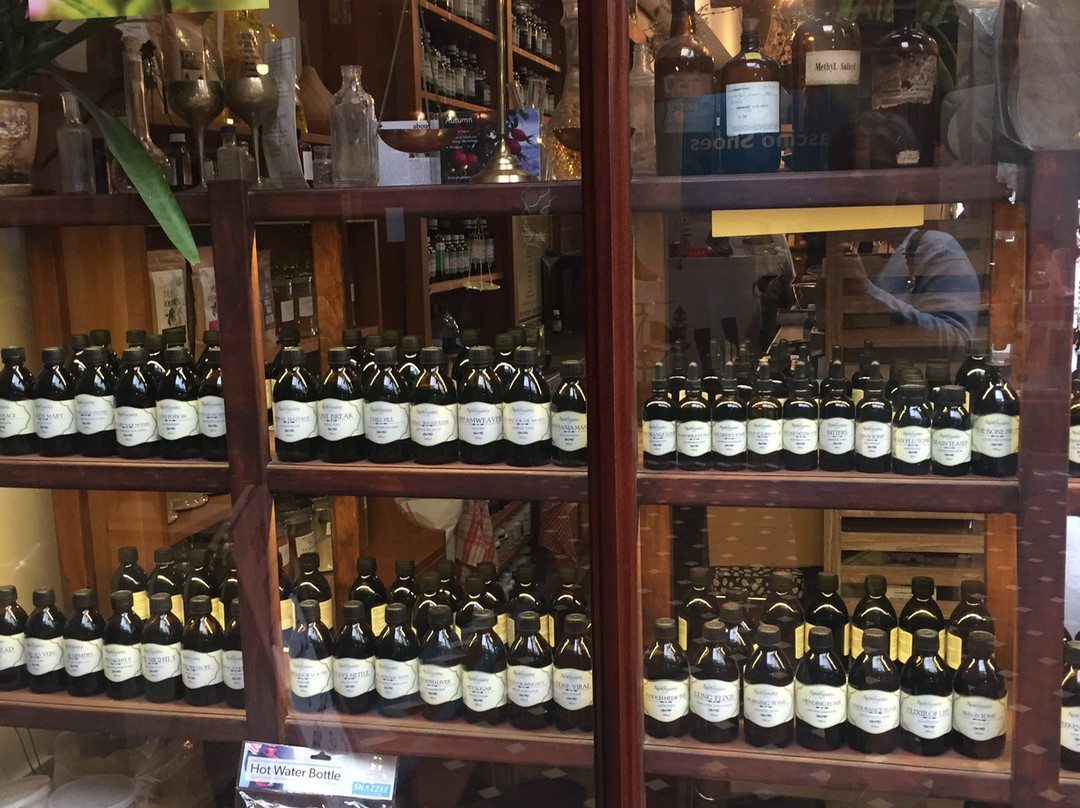 皮革店-基督城必去景点