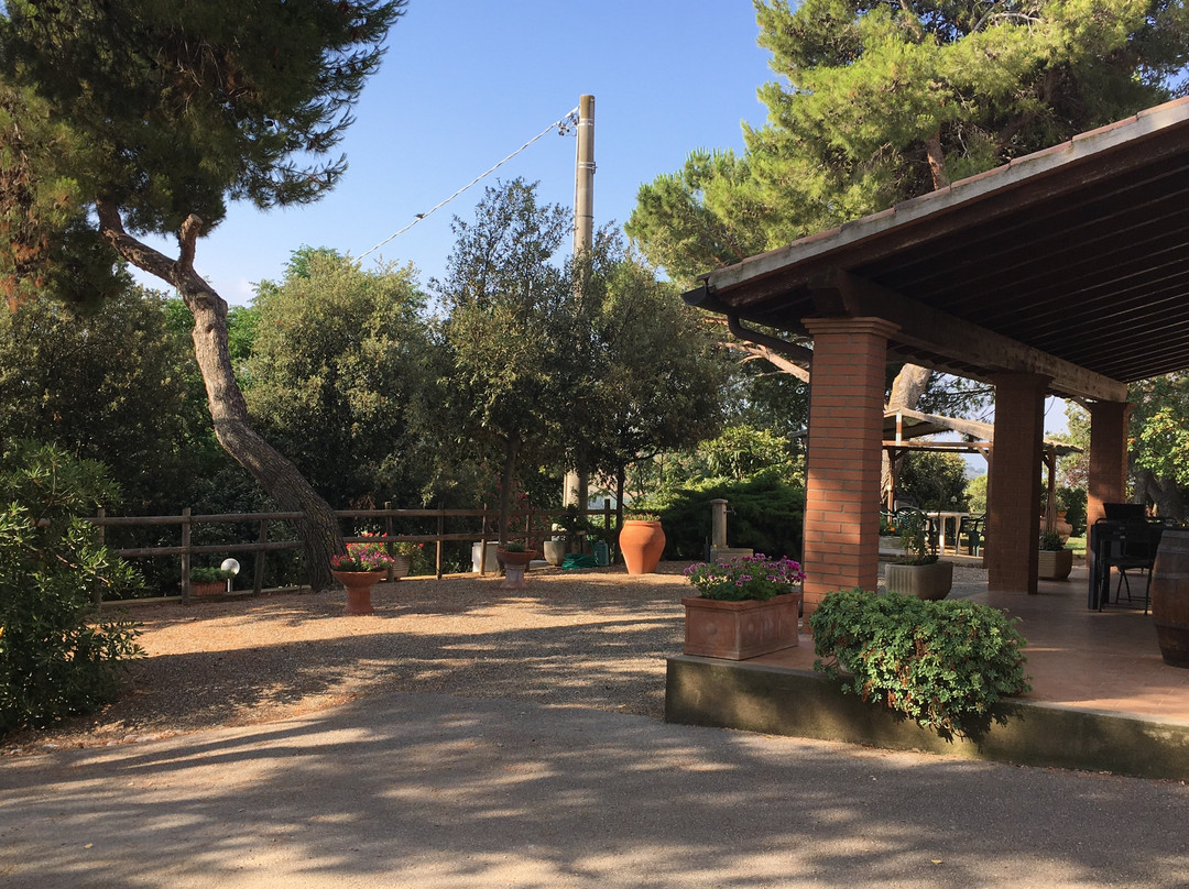 Agriturismo Il Cantiniere主图