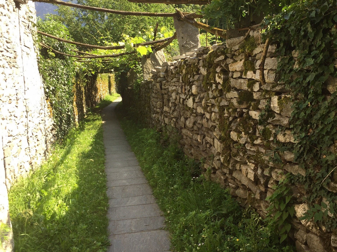 Museo di Valmaggia景点图片