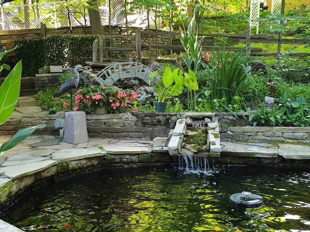 Forest Hill Bed and Breakfast主图