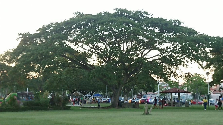 Parque La Choca景点图片