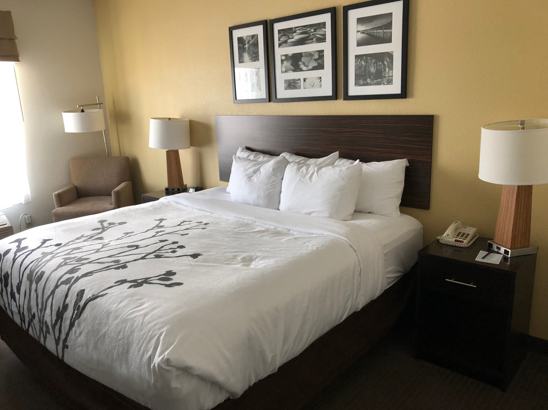 Sleep Inn & Suites主图