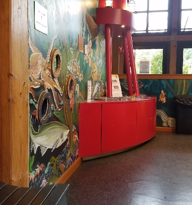 Hands On Children's Museum景点图片