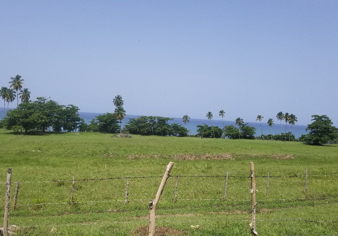 Tres Palmas Marine Reserve-吕康必去景点