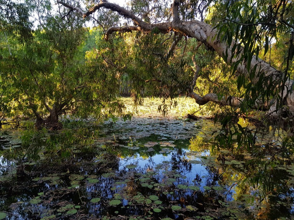 Keating's Lagoon-库克敦必去景点