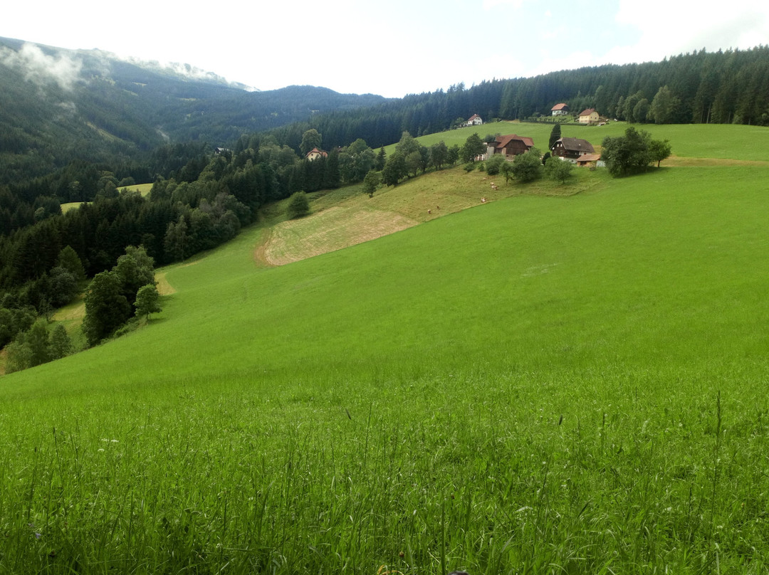 Gasthof Pension Zoller主图