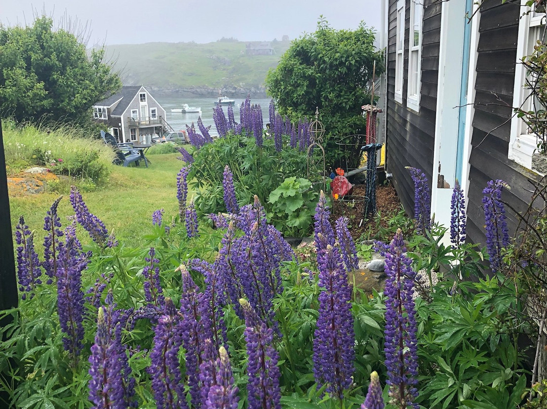 John Sterling Harbor House主图