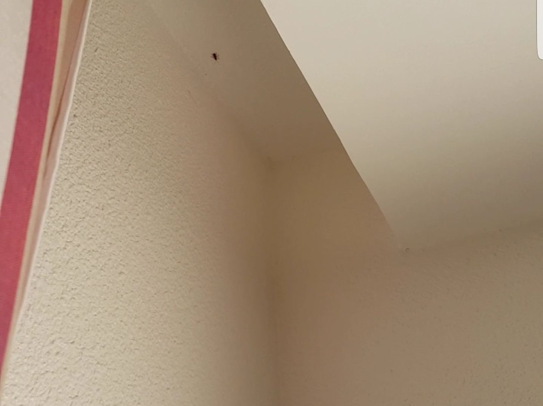 芒通基里亚德酒店主图