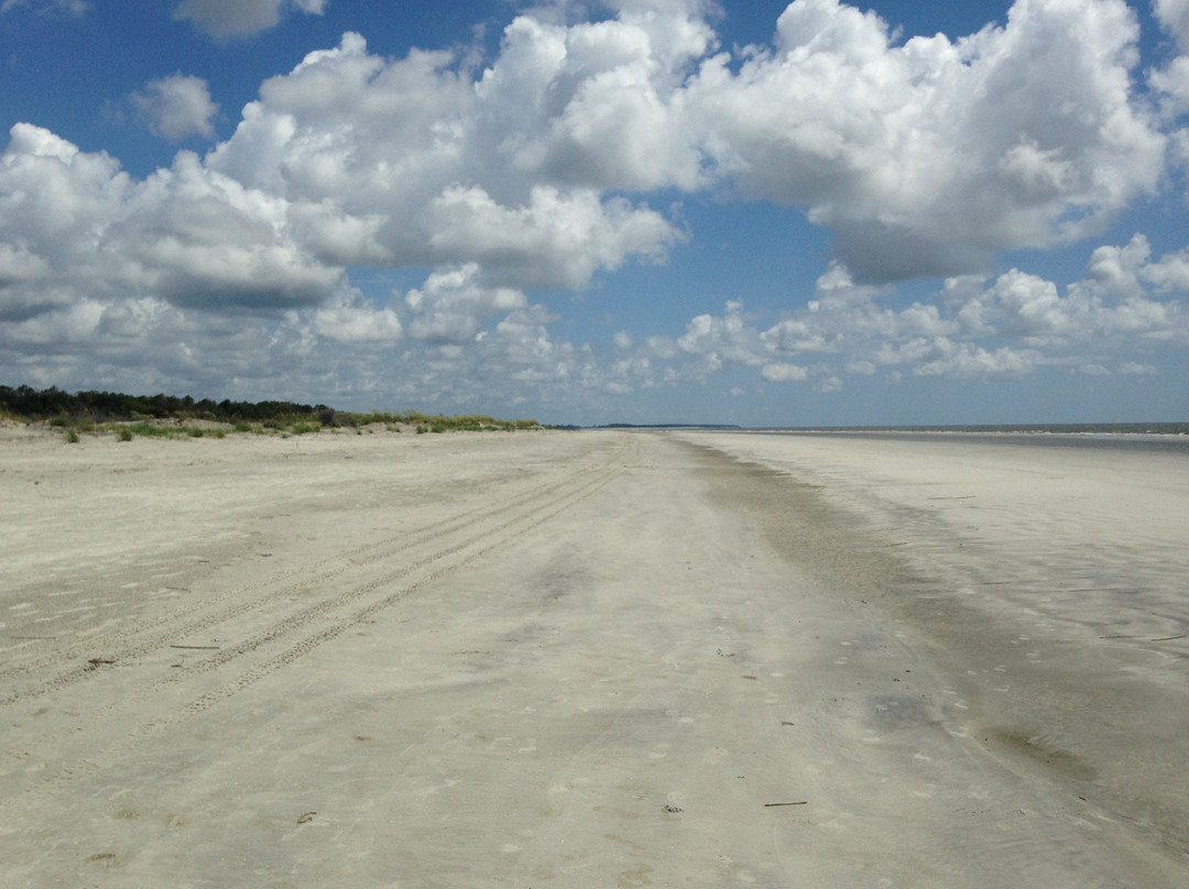 Sapelo Island National Estuarine Research Reserve-Sapelo Island必去景点