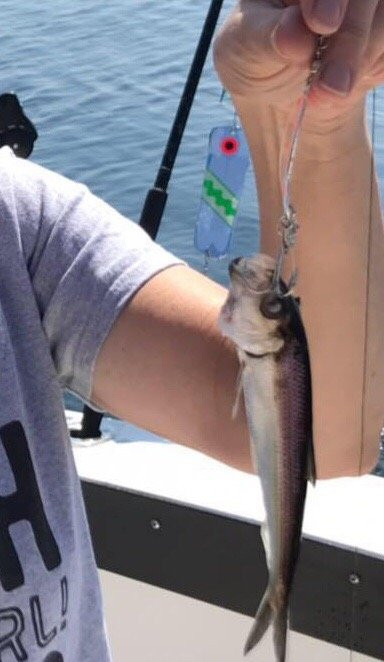 RV Fishing Charters  Day Tours-Algoma必去景点