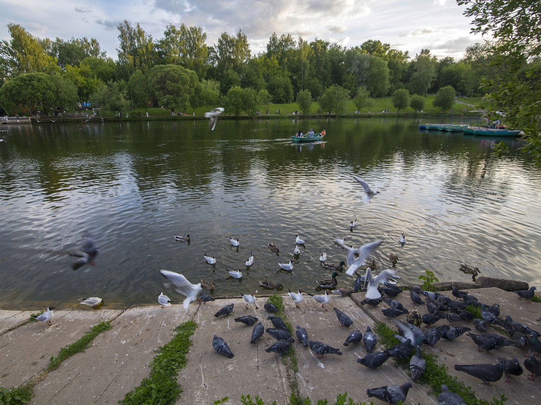 Park of Kirov景点图片