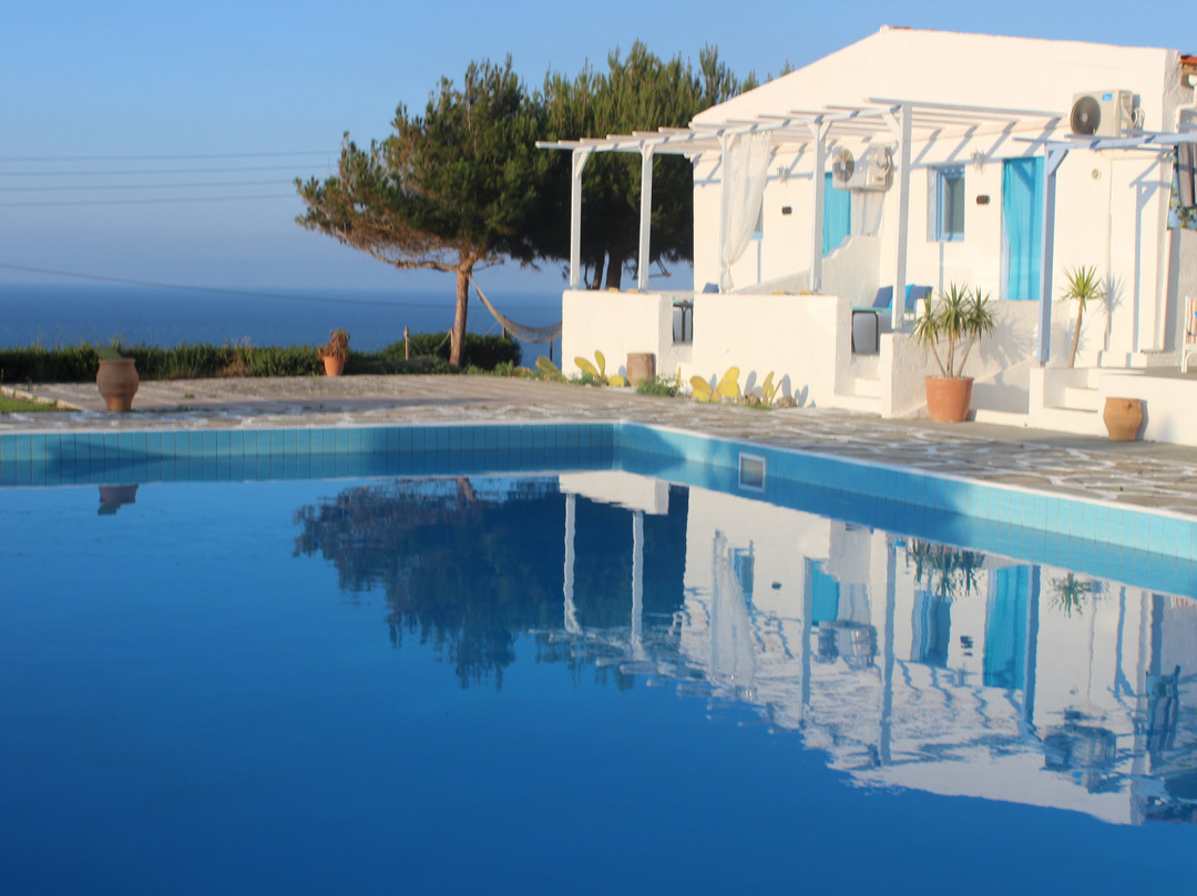 Bellevue Village主图