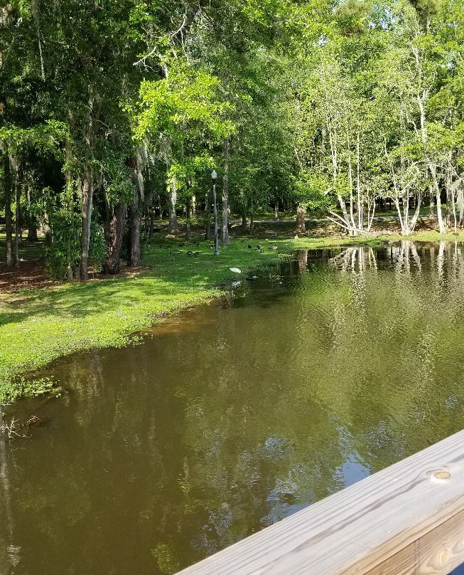 Cherokee Lake Park-Thomasville必去景点