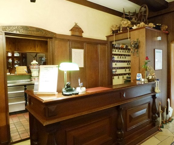 Landhotel Bauernwald-浴室