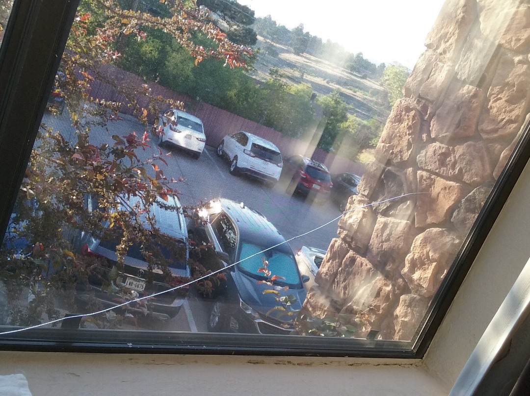 肖洛智选假日酒店主图