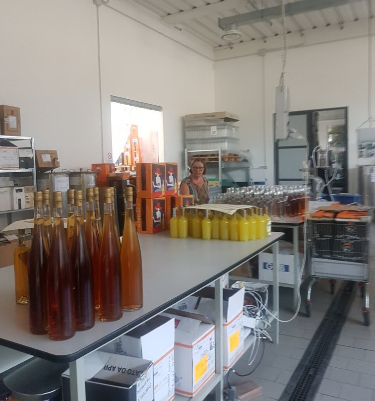 Liquorificio Morelli景点图片