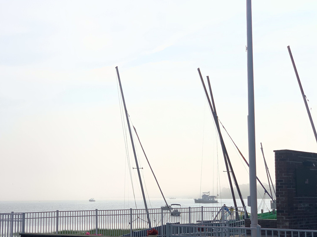 Pedego Electric Bikes SoNo-诺沃克必去景点