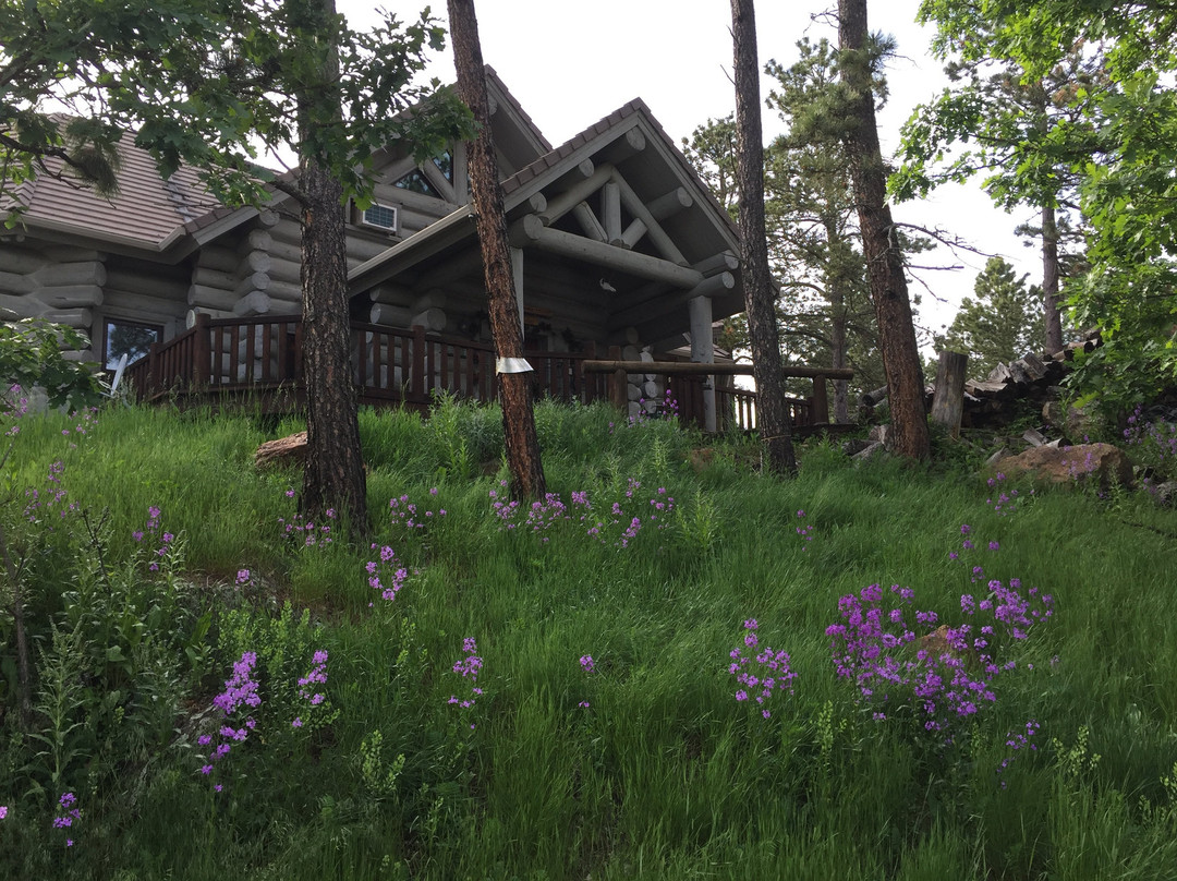 Buffalo Rock Lodge & Cabins主图