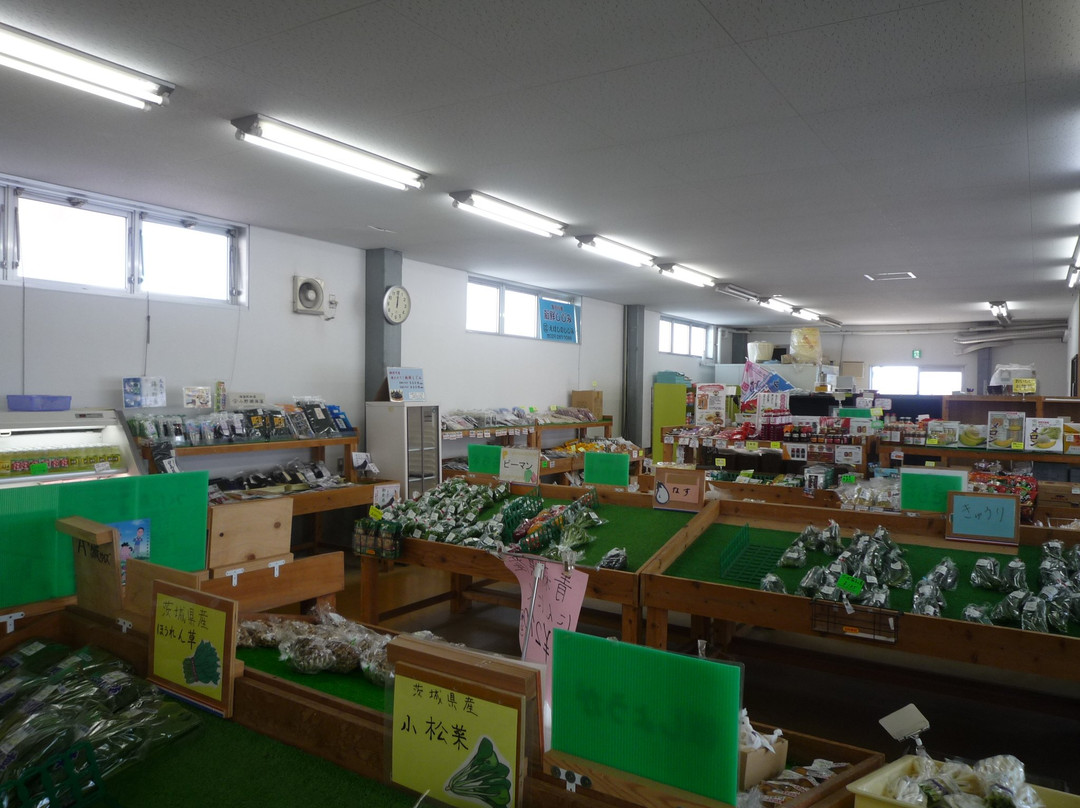 Umi Yama Direct Sales Center Ikiiki景点图片