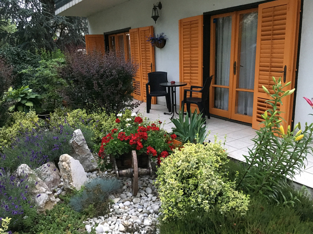 Corona Villa Héviz主图