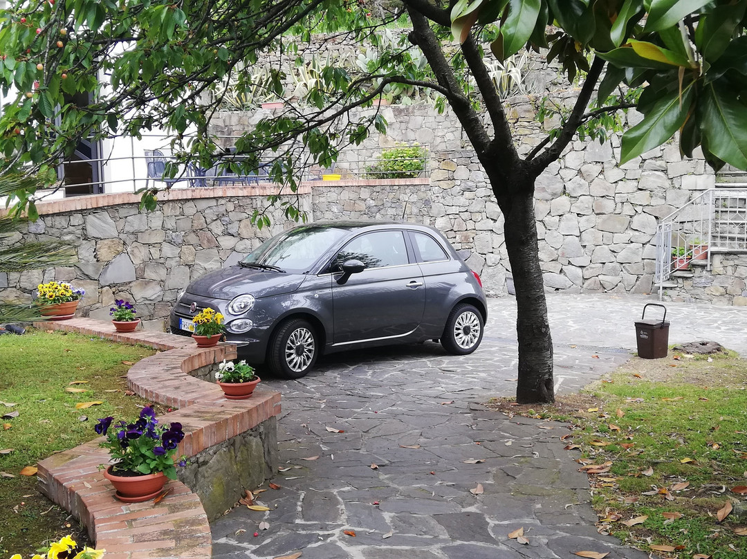 伊尔萨拉瑟诺酒店主图