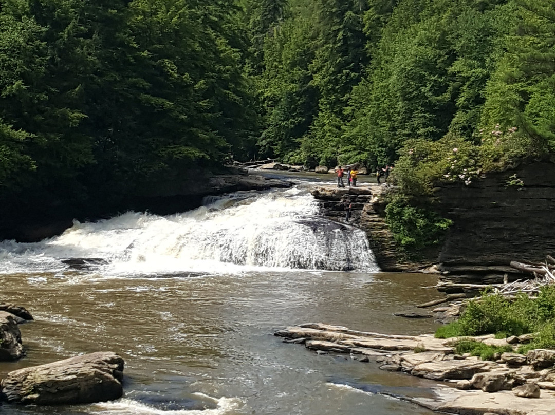 Swallow Falls State Park景点图片