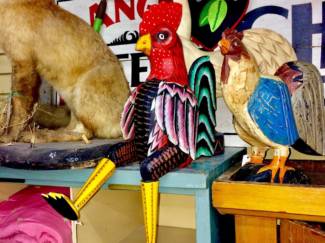 Plain & Fancy Antique Mall-大福克斯必去景点