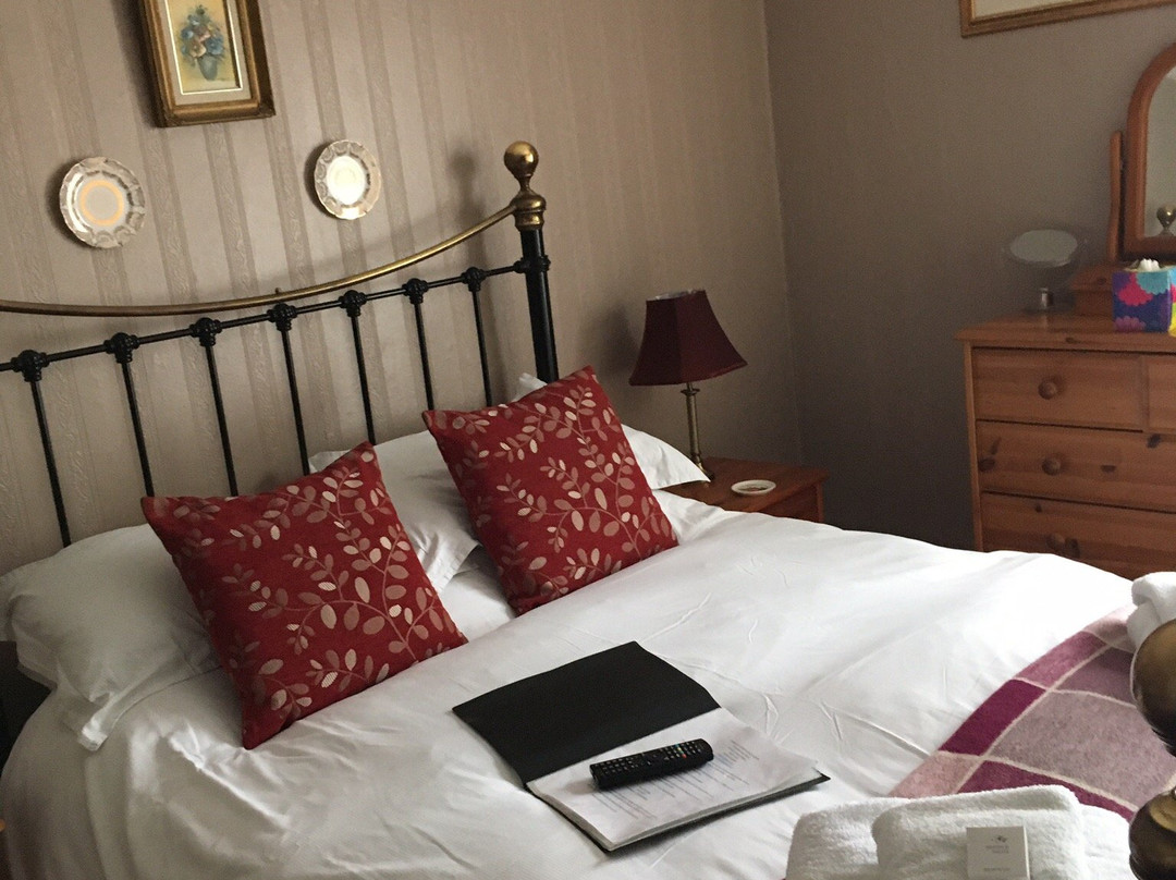 Camellia Lodge Guest House主图