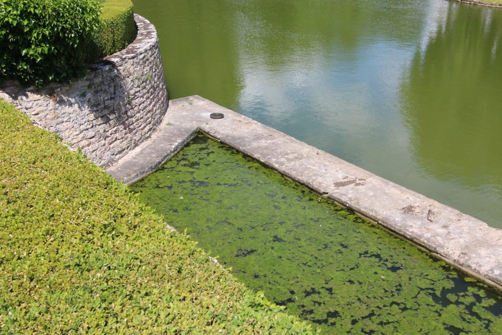 Chateau de Sercy景点图片
