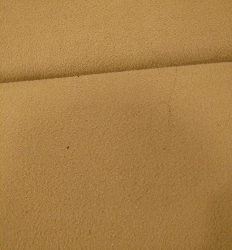 Malpani Club and Resort主图