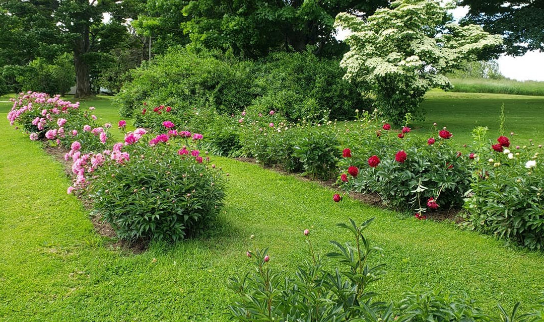 Enfield Manor Bed and Breakfast主图