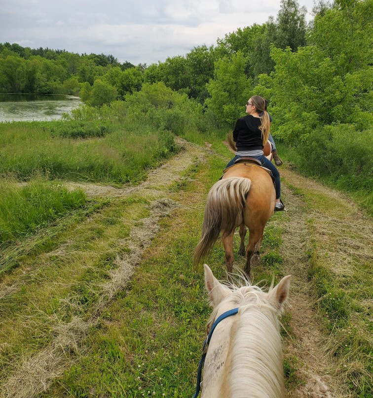 Dan Patch Stables-日内瓦湖必去景点