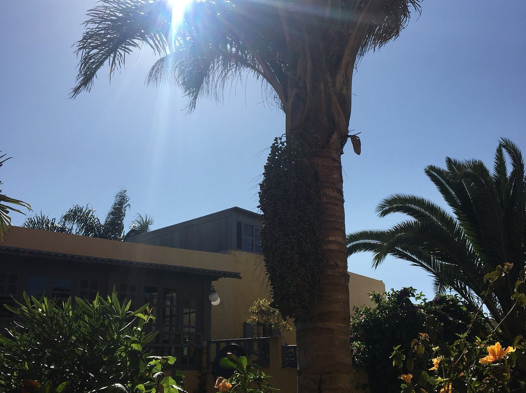 Dar Beldi Maison D'Hôtes主图