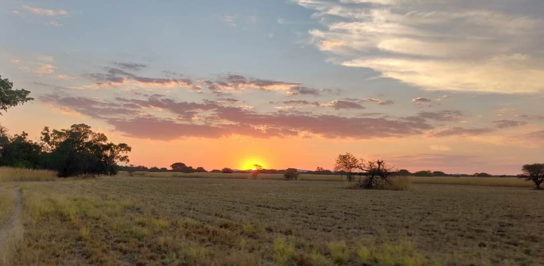 null-Mabula Private Game Reserve