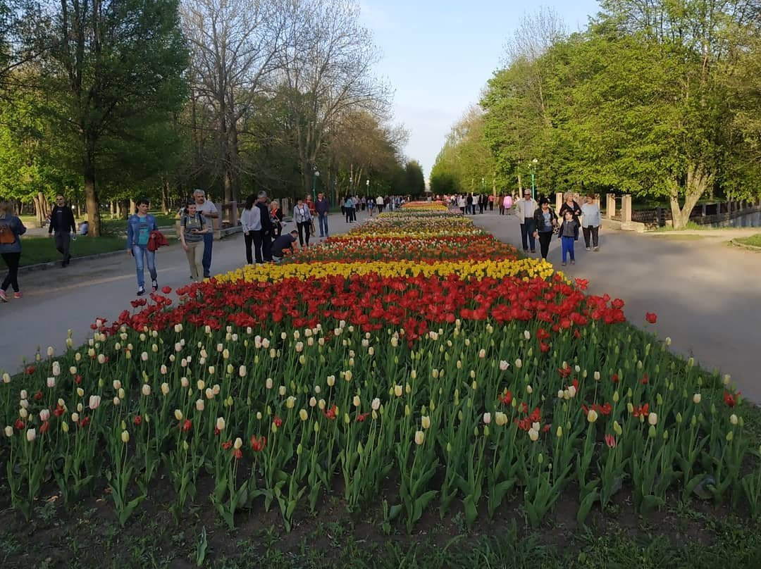Kirovohrad Arboretum景点图片