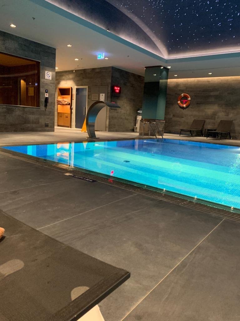 Doubletree by Hilton Skopje-泳池
