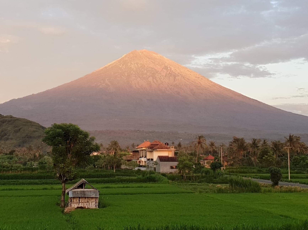 D'uma Amed Homestay主图