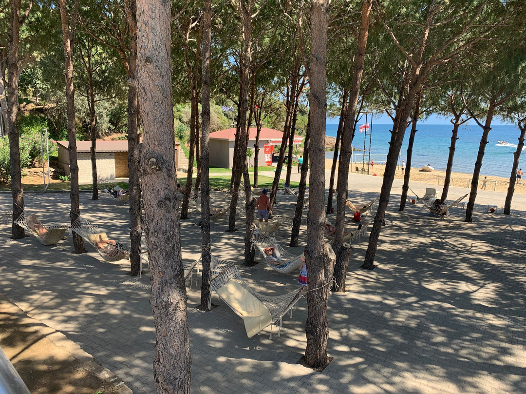 Aria Claros Beach & Spa Resort主图