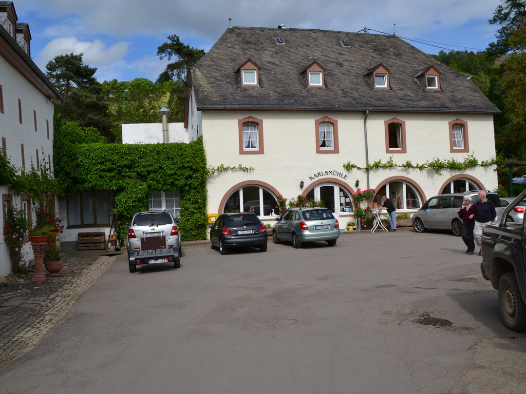 Hotel Weingut Karlsmuhle主图