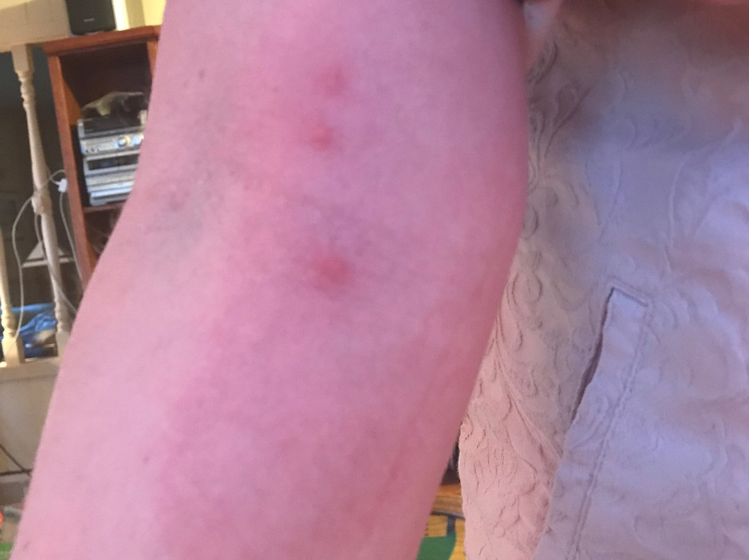 伯克利酒店主图