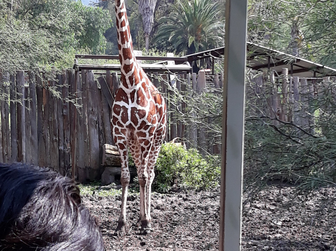 Parque Zoológico de León-利昂必去景点