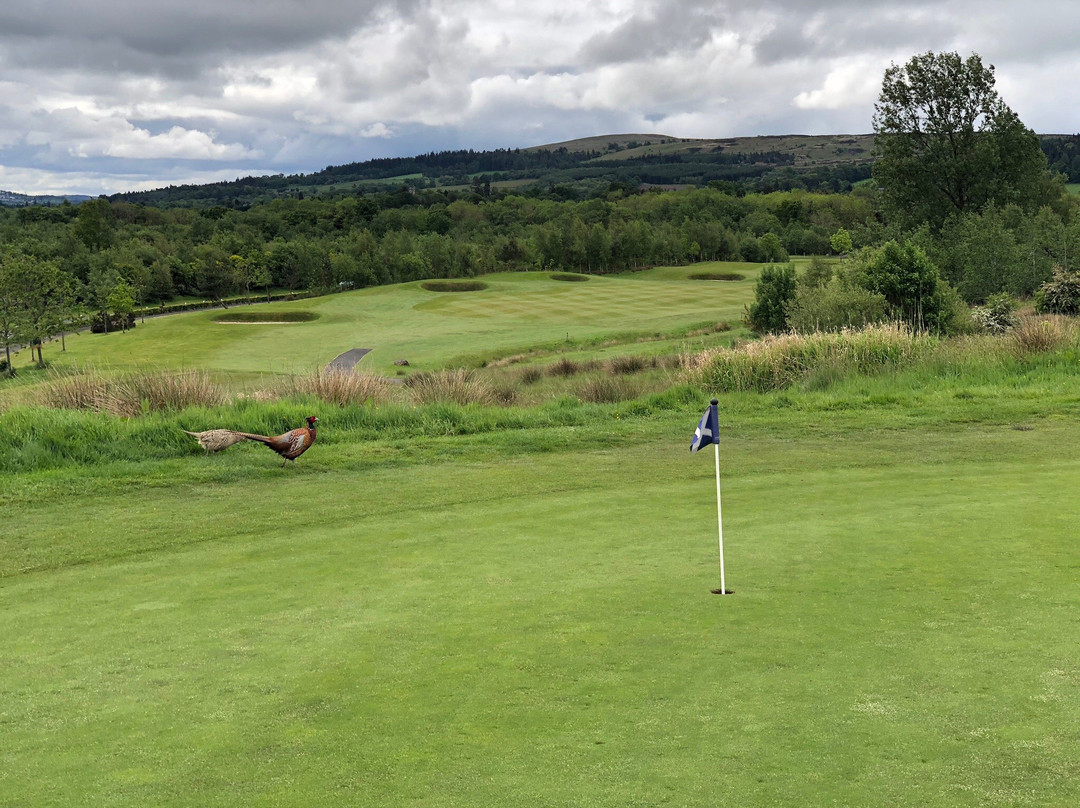 The Carrick Golf Course景点图片