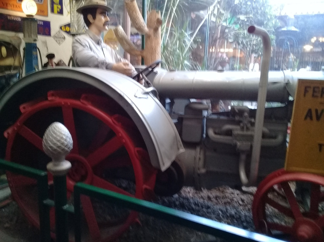 Museo del Automovil y Ramos Generales Coleccion Rau景点图片