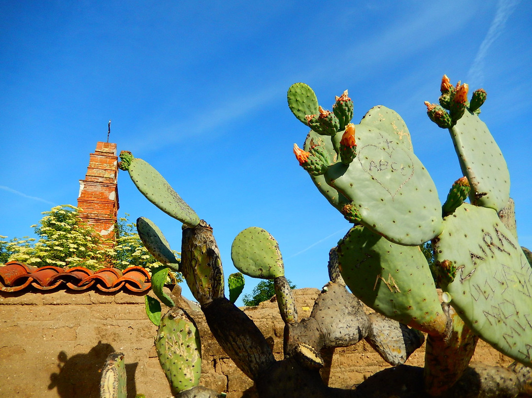 Mission San Miguel Arcangel景点图片