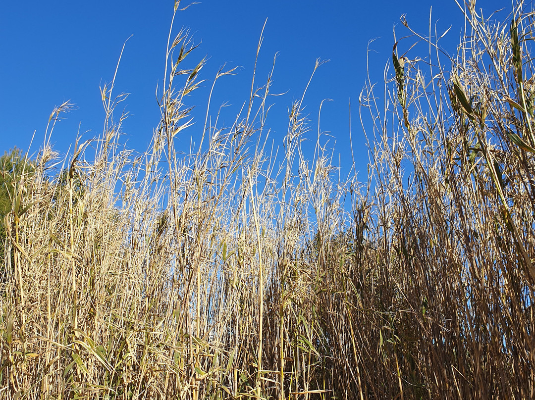 Bureau d'Informations Tourisme La-Seyne-Sur-Mer - Les Sablettes-滨海拉塞纳必去景点