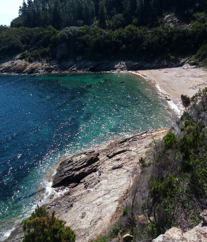 Spiaggia Di Buzzancone o Cera景点图片