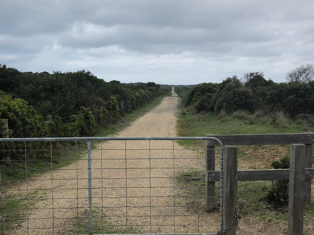 Point Impossible Beach-托基必去景点