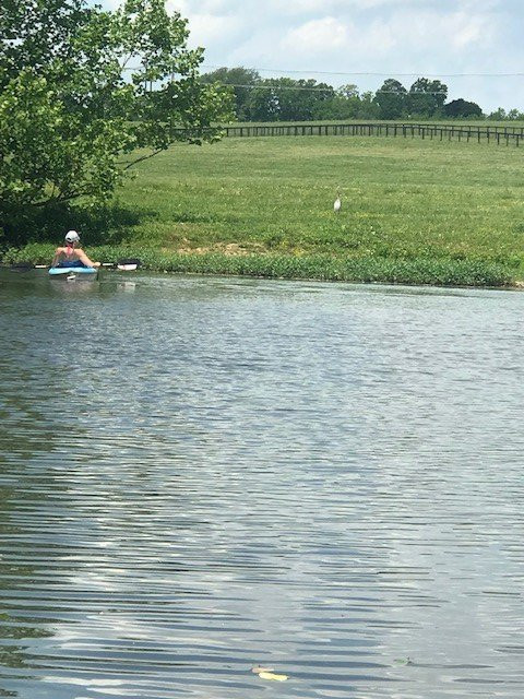Central Kentucky Kayaking-Paris必去景点