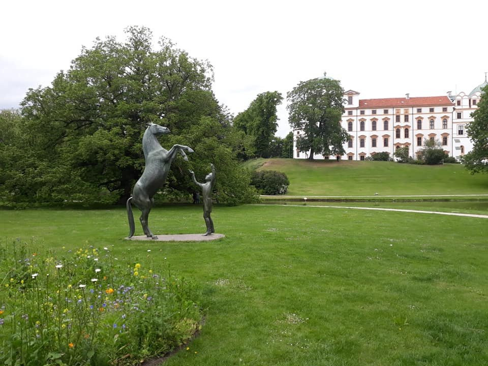 Hengst Wohlklang in der Freiheitsdressur-策勒县必去景点